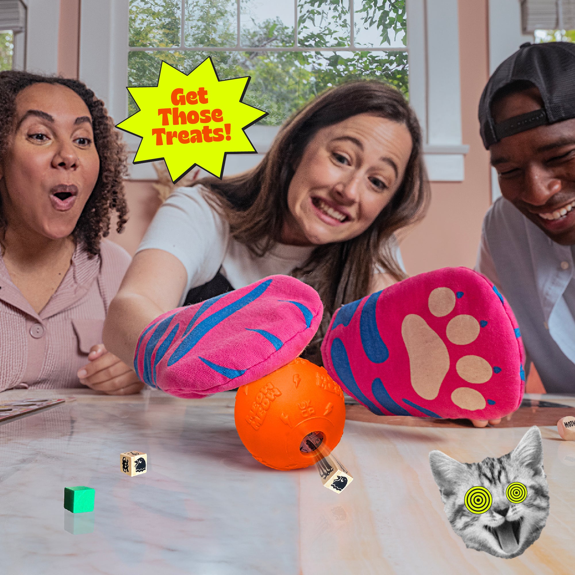 The Cat Mitt Game